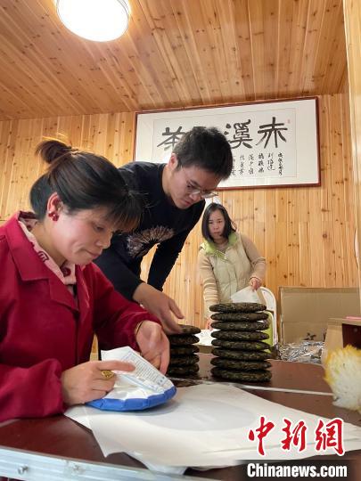 資料圖：杜贏(左二)在整理白茶餅?！×执阂?攝